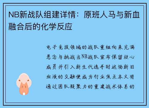 NB新战队组建详情：原班人马与新血融合后的化学反应
